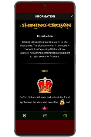 Game rules of the Shining Crown slot on screen